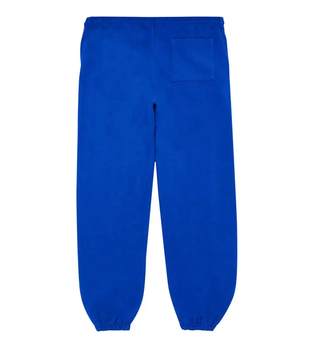 Spider Worldwide Blue Printed Pants
